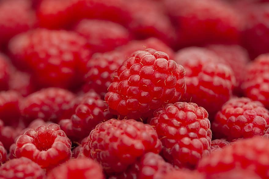 Raspberry, Fruit, Berries, Raspberries, Food, Healthy, Fresh, Nutrition, Delicious, Ripe, Summer