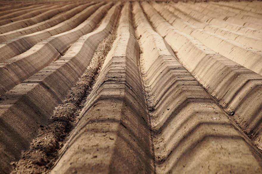 Field, Lines, Furrow, Structure, Clay, Soil, Agriculture, Shadows, farm, sand, dirt