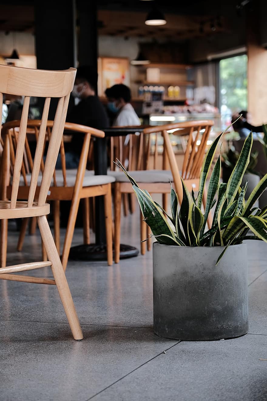kava, stalas, verslą, arbata, posėdį, darbo, minimalistinis, medis, retro, stilius