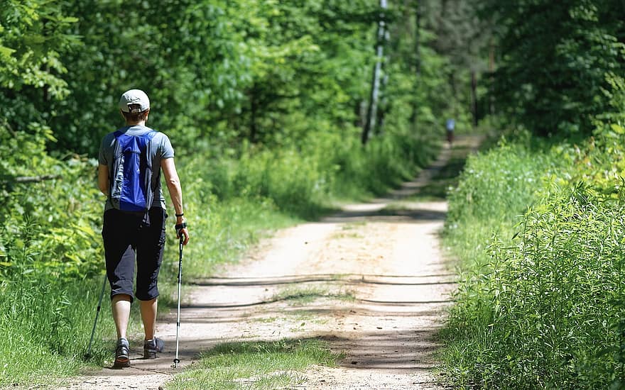 hombre, Bastones de Senderismo, para caminar, sendero, mochilero, camino, bosque, al aire libre, naturaleza, bastones de trekking