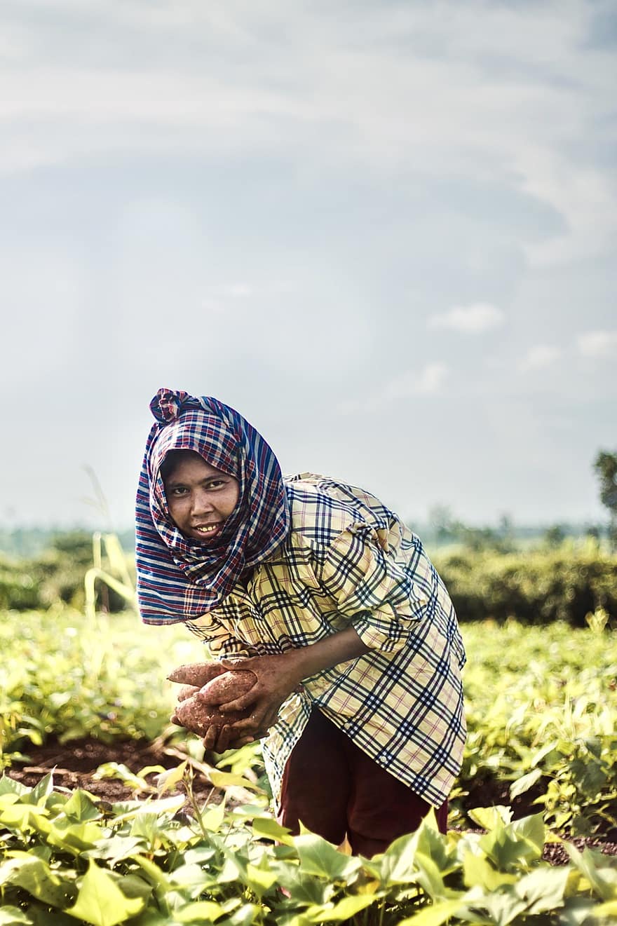 жена, земеделски производител, ферма, жътва, картофи