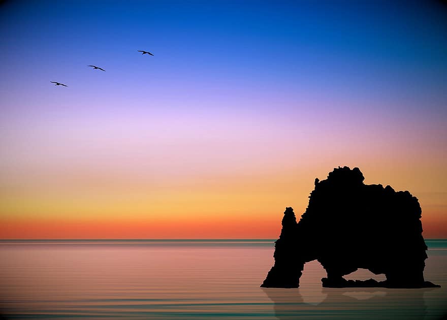 solnedgang, ocean, kyst, klipper, fugle, hav, natur