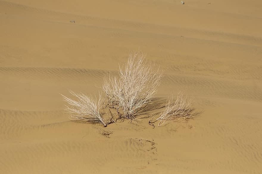 Pustynia Maranjab, Iran, pustynia, Natura, prowincja Isfahan