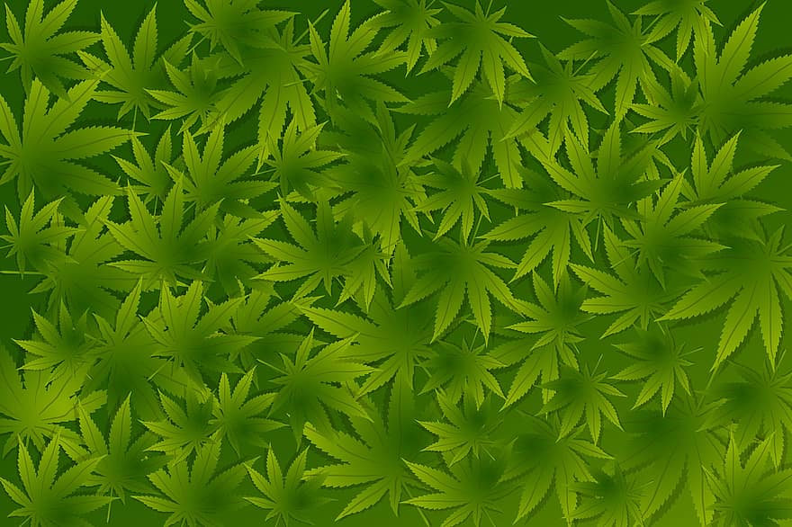 cannabis, chanvre, marijuana, la nature, fond d'écran