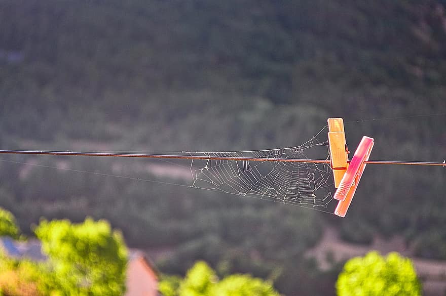 Clothespin, Spider Web, Cobweb, Fastener