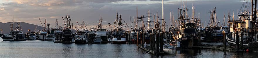 Waterfront, Harbor, Sunset, Bellingham, Washington, Fleet