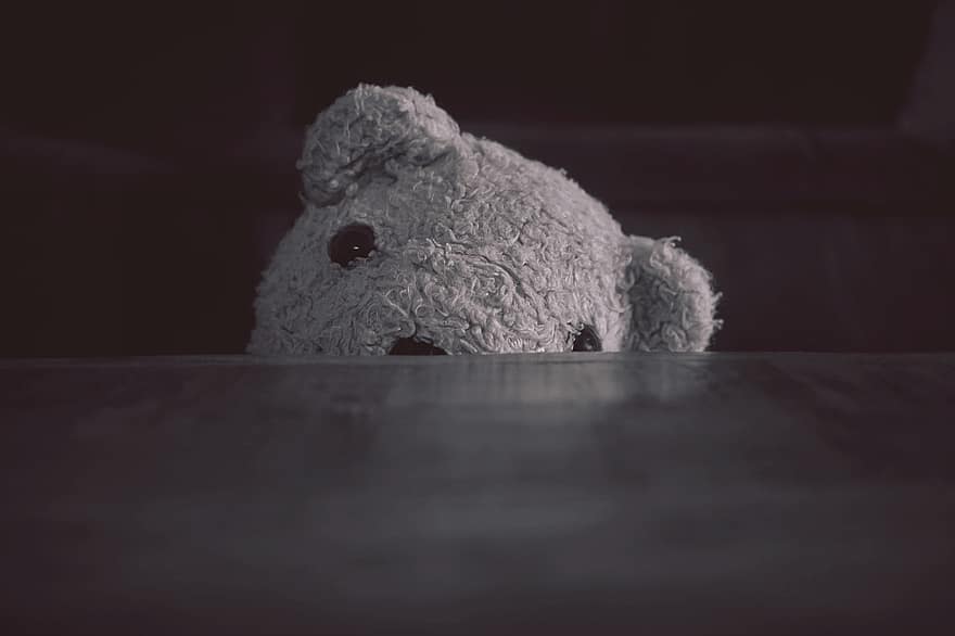 beer, teddy, knuffelbeer, comfortabel, vacht, vriend, vriendelijk, knuffel, schattig, speelgoed-, binnenshuis