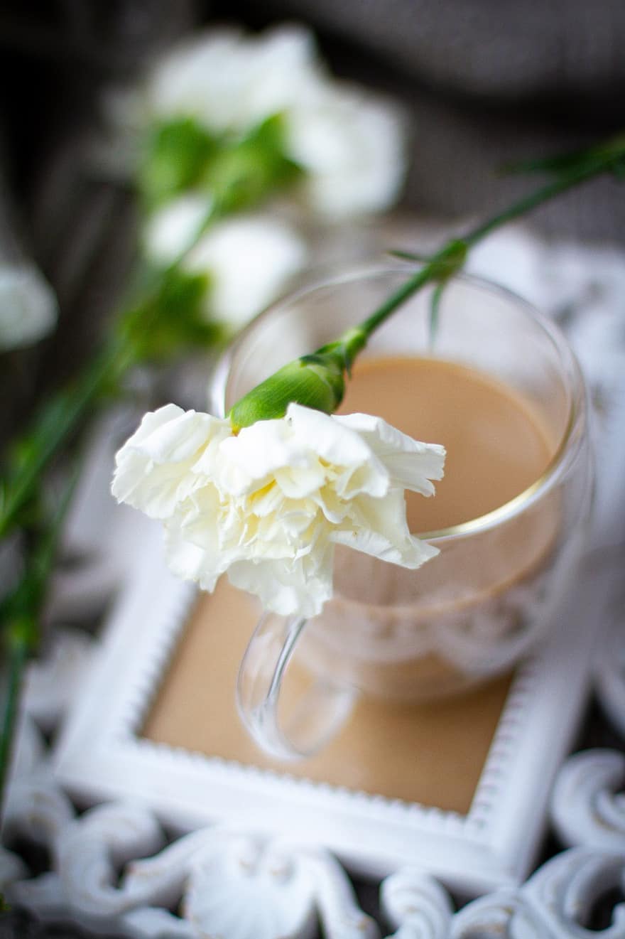 blomst, nellike, kaffe, drikke, flor, blomstre, krus, morgen, tæt på, bord, vase