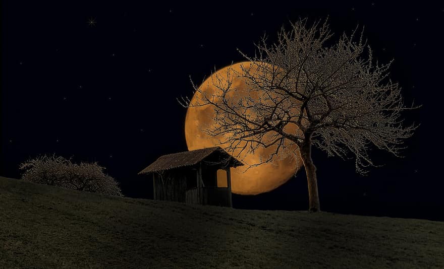 mēness, naktī, garastāvoklis, montāža, pilnmēness, apsveikuma kartīte, mēness naktī, nakts fotogrāfija, romantika, mēness gaisma