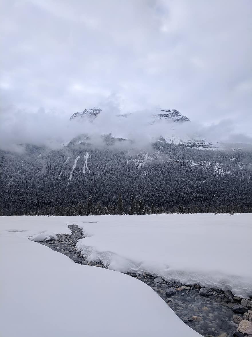 lago esmeralda, nieve, montaña, corriente, bosque, frío, al aire libre, columbia británica, invierno, Canadá