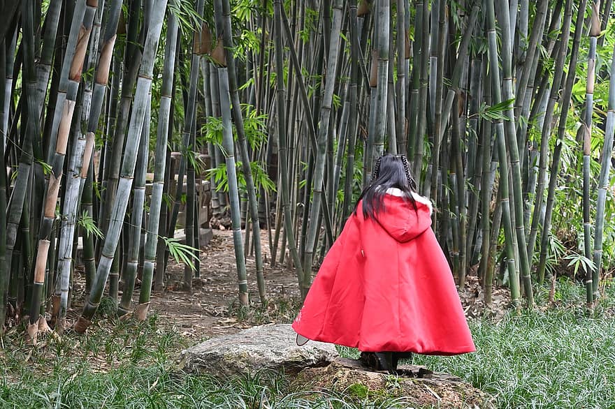 bambusz erdő, kislány, Hanfu, nők, férfiak, egy ember, felnőtt, erdő, hagyományos ruházat, kultúrák, zöld szín