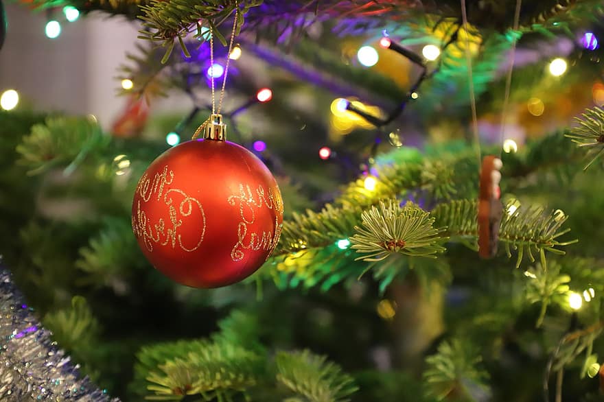 karácsonyfa, Karácsony, csecsebecse, dísz, ünnep, dekoráció, fa, ünneplés, évszak, közelkép, megvilágított