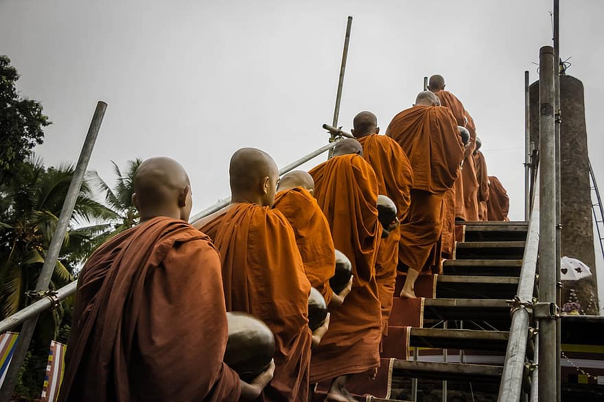 Bhikkus, monges, fila, budista, budismo, mahamevnawa, sangha, homens, roupão, escadas, passos