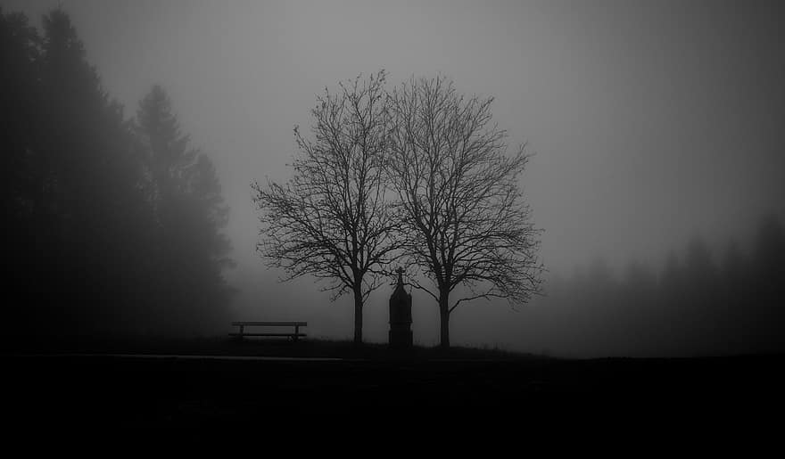 Fog, Forest, Park, Nature, Landscape, Misty Landscape, Black And White, Melancholy, Hike, Scary, Halloween