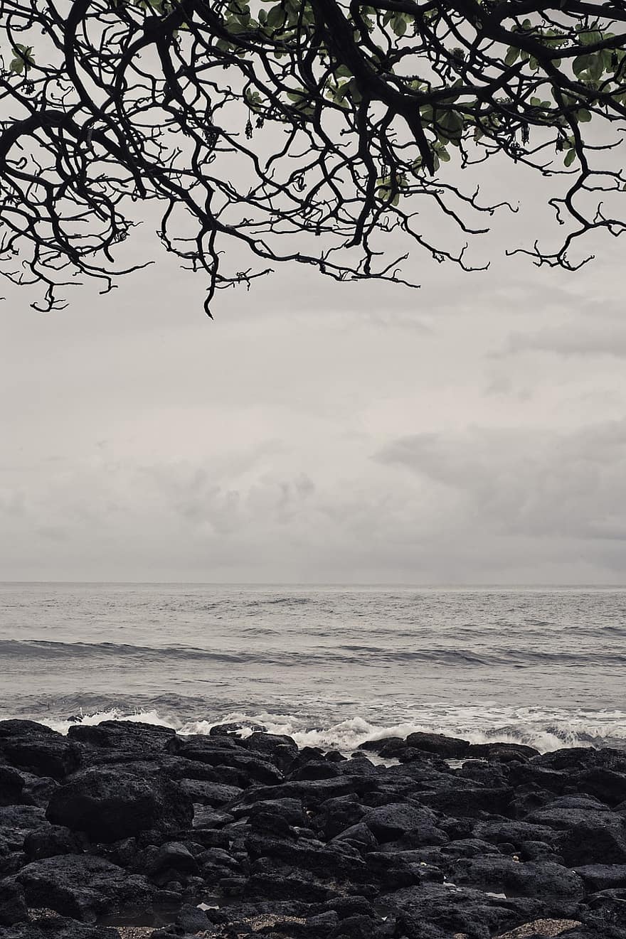 vista do mar, silhueta, céu, oceano, Beira Mar, nuvens, sombrio
