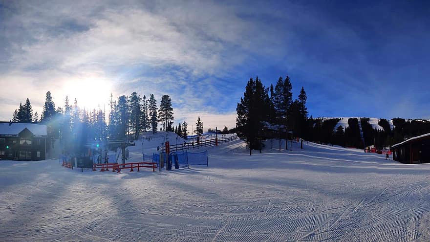 skisportssted, sne, vinter, tåge, lys, træ, stå på ski, landskab, skiområde