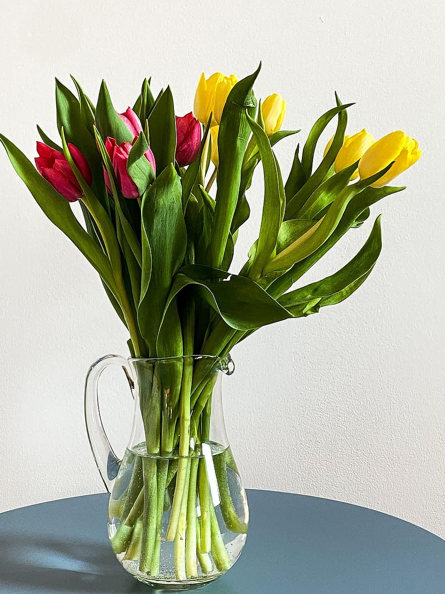 blomster, tulipaner, vase, kande, blade, vand, stilk, knop, gennemsigtig, væg, forår