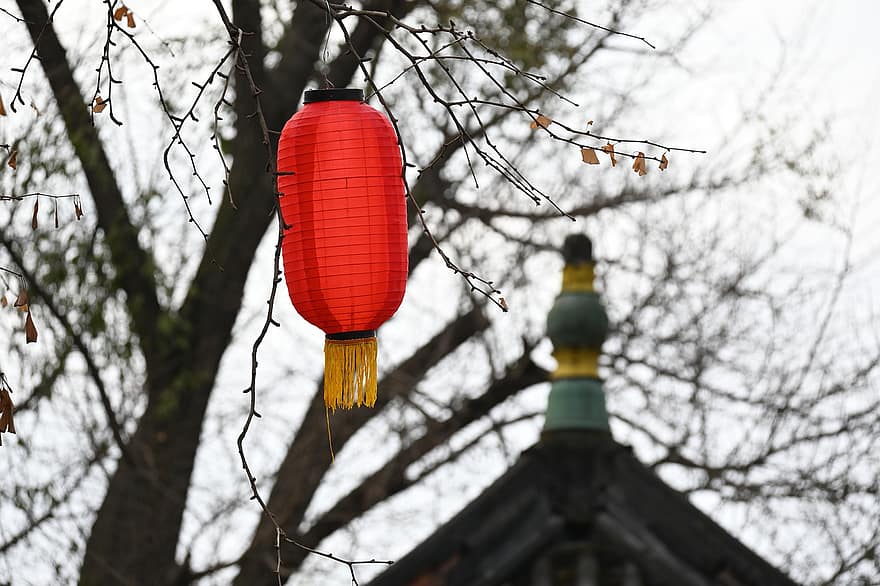 灯籠、旧正月、庭園、祭り、春祭り、文化、デコレーション、中国の文化、お祝い、宗教、伝統祭り