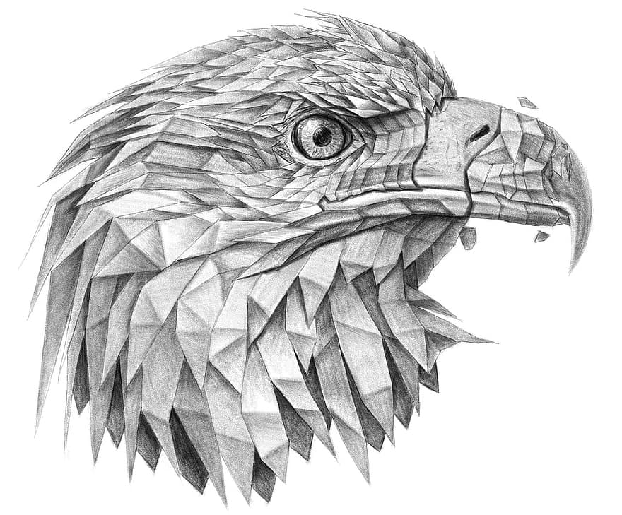 Eagle, Polygonal Drawing, Decoration, Origami, Portrait, Zoo, Bird, Artwork, Sketch, Pencil Drawing