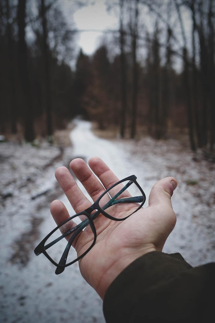 brillen, bril, hand-, winter, seizoen, professor, natuur, park, mannen, menselijke hand, een persoon