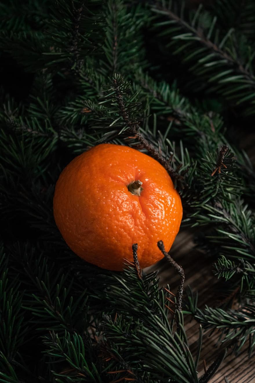 mandarinas, vaisiai, Kalėdos, oranžinė, Kalėdų eglutė, Naujieji metai, šventė, filialas, ornamentas, dekoro, apdaila