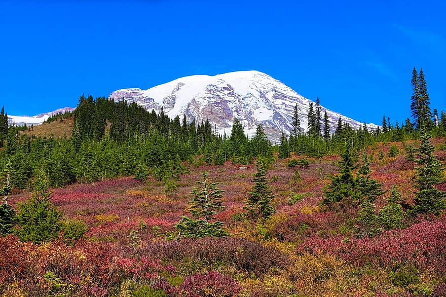 горы, каскад, деревья, Mt Rainier, осень, природа