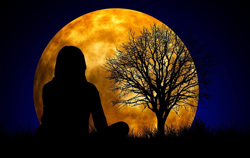 місяць, жінка, силует, медитація, перегляду, подумайте, мислення, споглядання, дерево, каля, фон