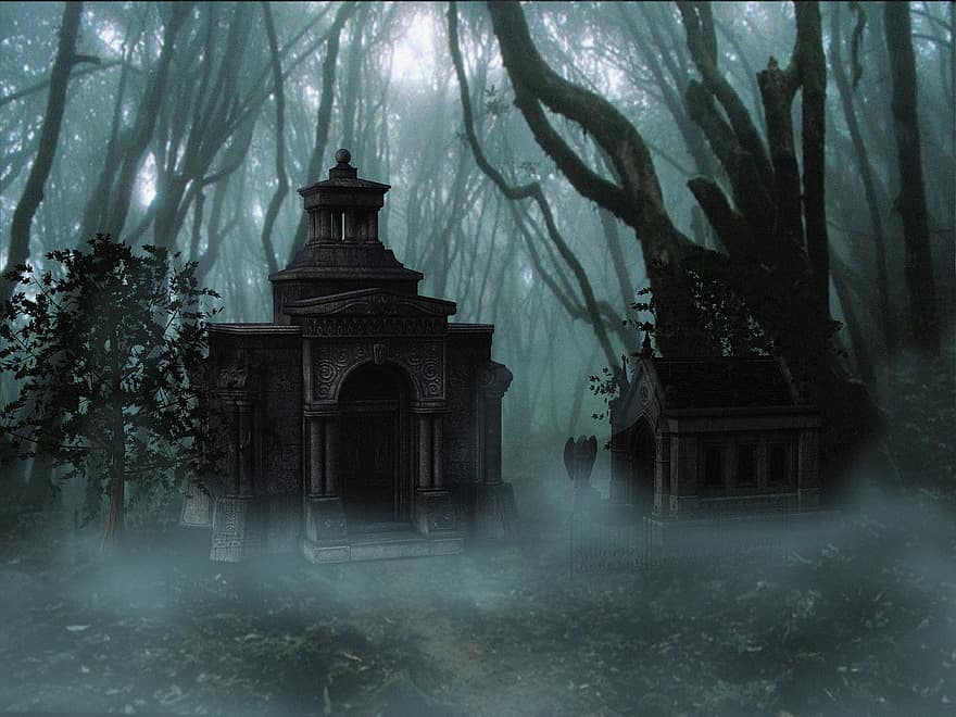 Bos, spookt, mystiek, bomen, mist, eng, mistig, verschrikking, natuur, fantasie, geest