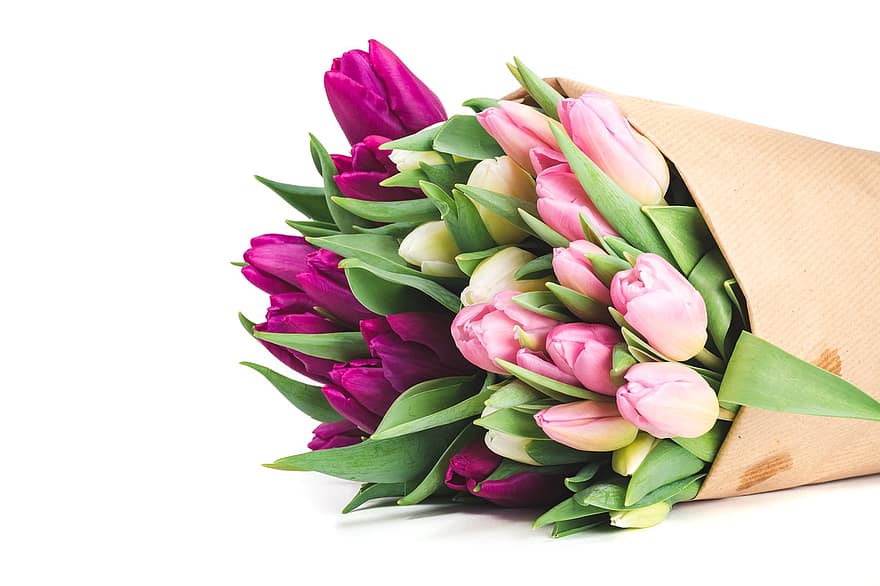 Blumen, Tulpen, Frühling, blühen, Strauß, Tulpe, Blume, Frische, Blütenkopf, Blatt, pinke Farbe