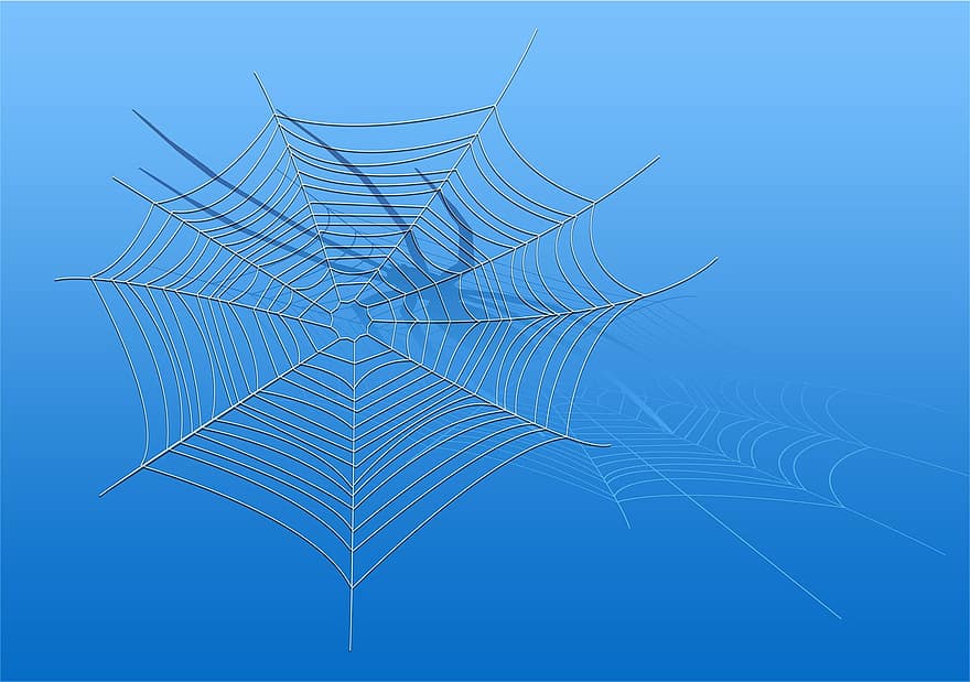 pavučina, pavouk, modrý, abstraktní, síť, spojení, symbolismus, web