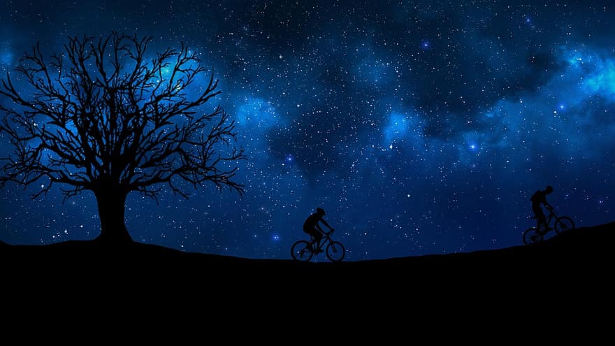 การขี่จักรยาน, กลางคืน, ต้นไม้, ช่องว่าง, เบา, เวลา, ดาราศาสตร์, ธรรมชาติ, ท้องฟ้า, สดใส, ออกแบบ