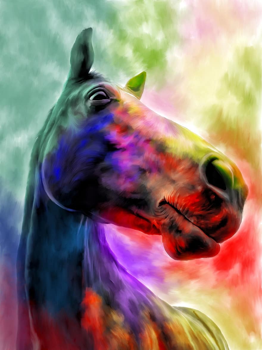 zirgs, dzīvnieku, glezna, zirgu dzimtas dzīvnieki, zīdītāju, galvu, krāsains, māksla