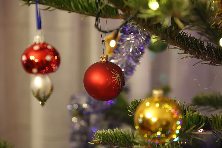 pohon Natal, liburan, dekorasi, ornamen, pohon cemara, hari Natal, musim, perayaan, pohon, hiasan Natal, dekorasi Natal