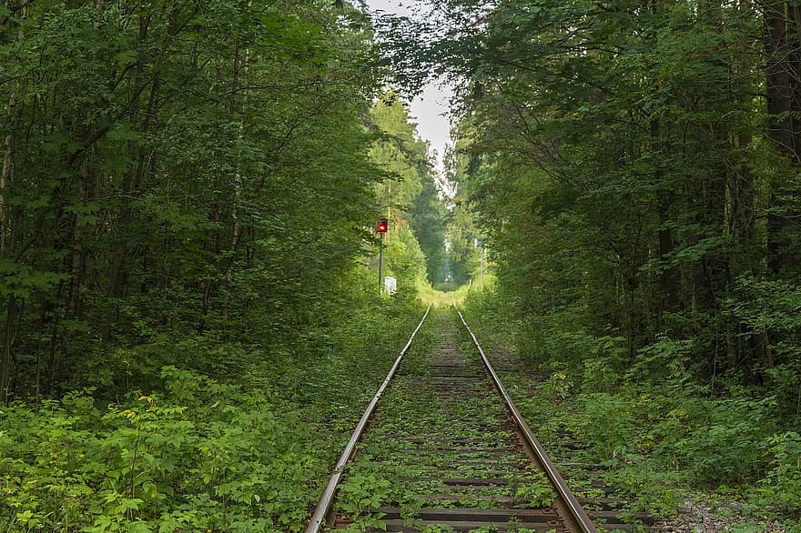 spoorweg, Bos, landschap, het spoor, gebladerte, bomen, bossen, bos-, natuur, groen, landelijk