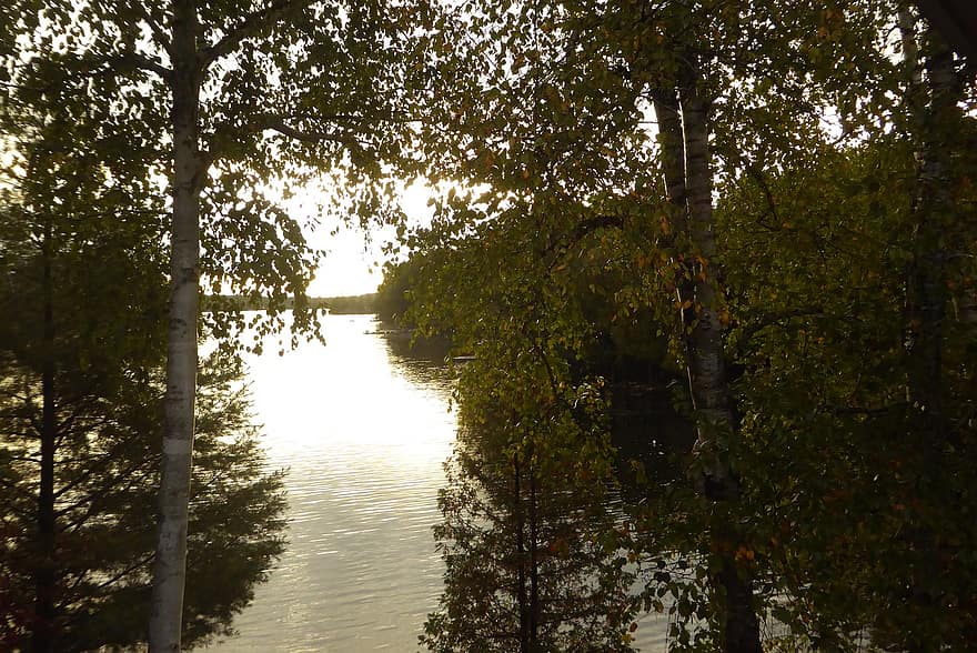 ežeras, medžiai, saulėlydis, miškas, kraštovaizdį, pobūdį, Ontarijas, šiaurės įlankoje, medis, ruduo, sezoną
