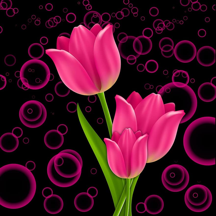 plantar, flores, flor, tulipa, tulipas, Rosa, fundo, círculos, cor