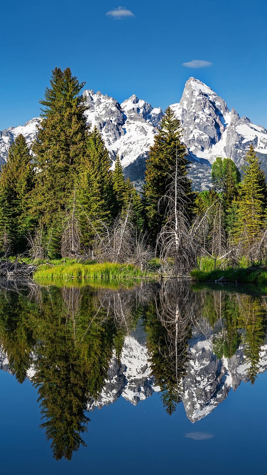 Mountains, Lake, Reflection, Nature, Landscape, River, Forest, Water, Sky, Trees, Wyoming