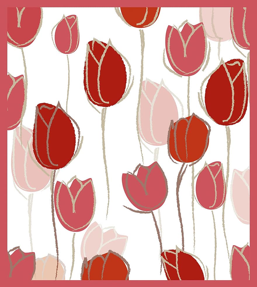 Rosa, tulipas, tulpenbluete, plantar, cama de tulipa, natureza, flor