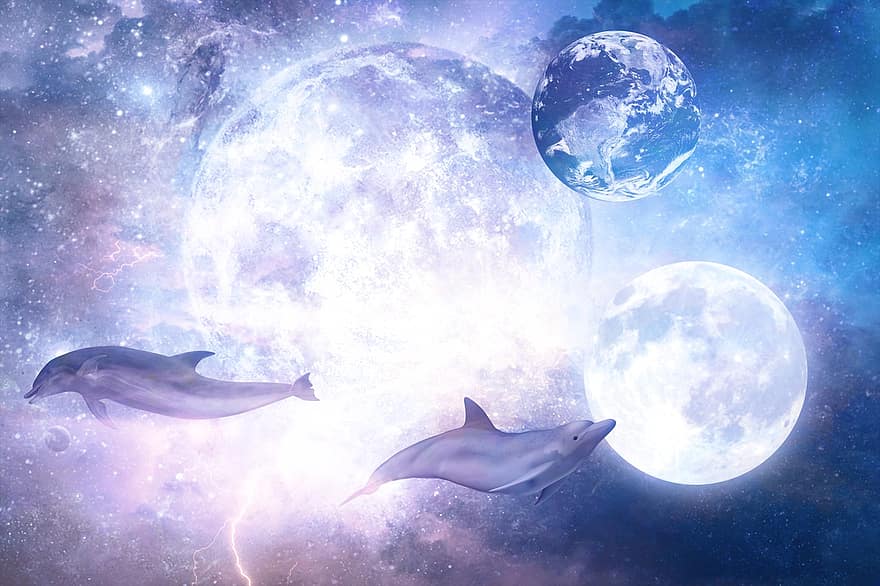 Луна, дельфины, пространство, земной шар, научно-фантастический, научная фантастика, фантастика, небо, космос, астрономия, сцена