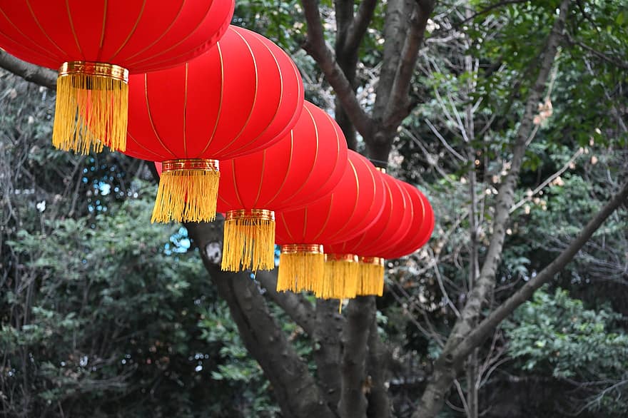 lanterna, nuovo anno, decorazione, Asia, culture, albero, celebrazione, cultura cinese, festival tradizionale, legna, multicolore