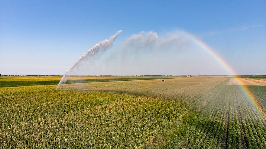 Countryside, Irrigation, Rainbow, Fields, Veneto, Italy, Crops, Green Fields, Agriculture, Rural, Landscape