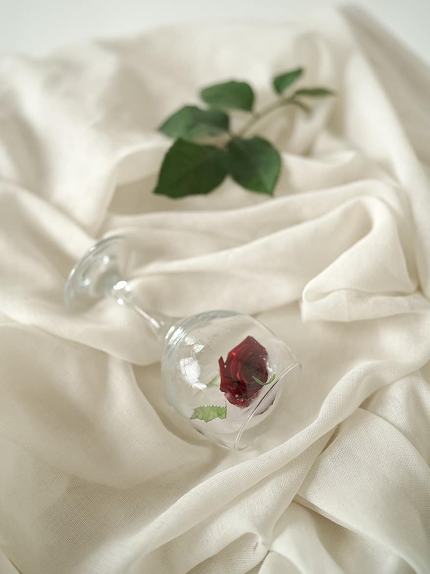 Роза, бокал для вина, ткань, природа, эстетический, фон, крупный план, лист, фоны, лепесток, романс