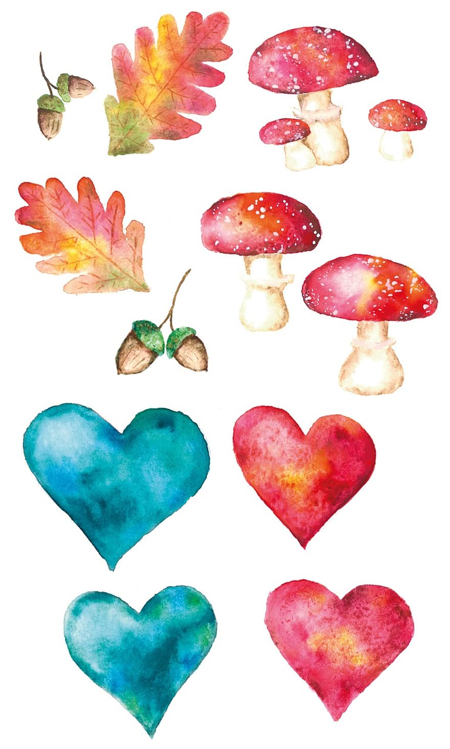 Autumn, Leaf, Leaves, Mushroom, Fly Agaric, Heart, Acorn, Oak, Love, Watercolour