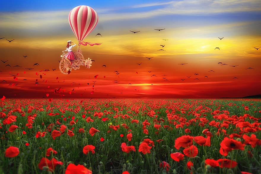 फूल, मैदान, घास का मैदान, सूर्य का अस्त होना, लड़की, गरम हवा का गुब्बारा, बाइक, पक्षियों, कपोल कल्पित