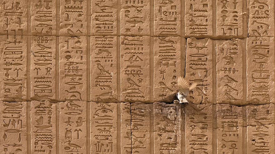Birds, Pairing, Wall, Hieroglyphs, Sparrows, Make Love, Characters, Inscriptions, Story, Culture, Temple