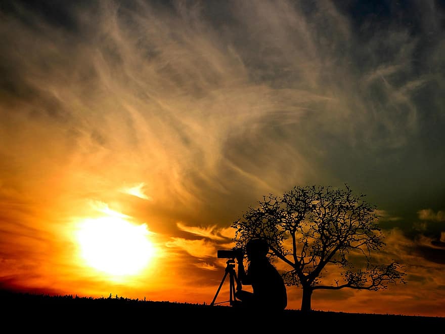 le coucher du soleil, arbre, photographe, séance, paysage, la nature, ciel, Soleil, soir, Orange, crépuscule