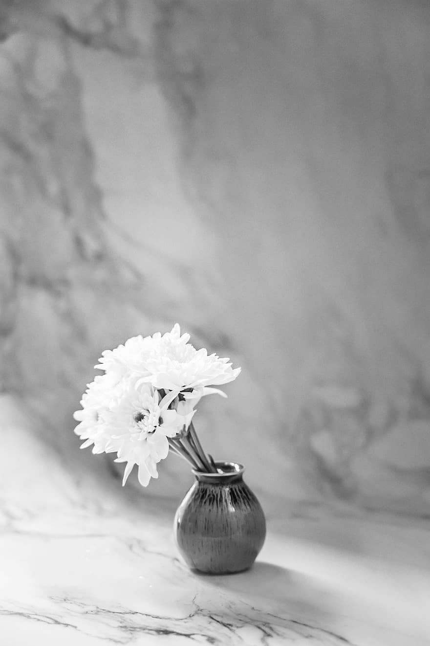 花、花瓶、デコレーション、フローラ、工場、自然、花束、花弁、テーブル、黒と白、古い