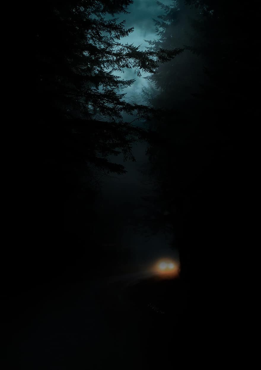 гора, нощ, кола, главни светлини, тъмен, дървета, страшен, зловещ, Хелоуин, мъглявина, светлина