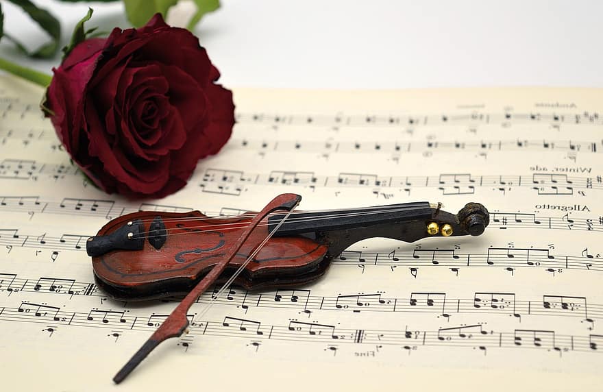 hegedű, vörös rózsa, zene, Kotta, dalok, koncert, kórus, hangszer, a zene szeretete, szerelmes dal, fokozat