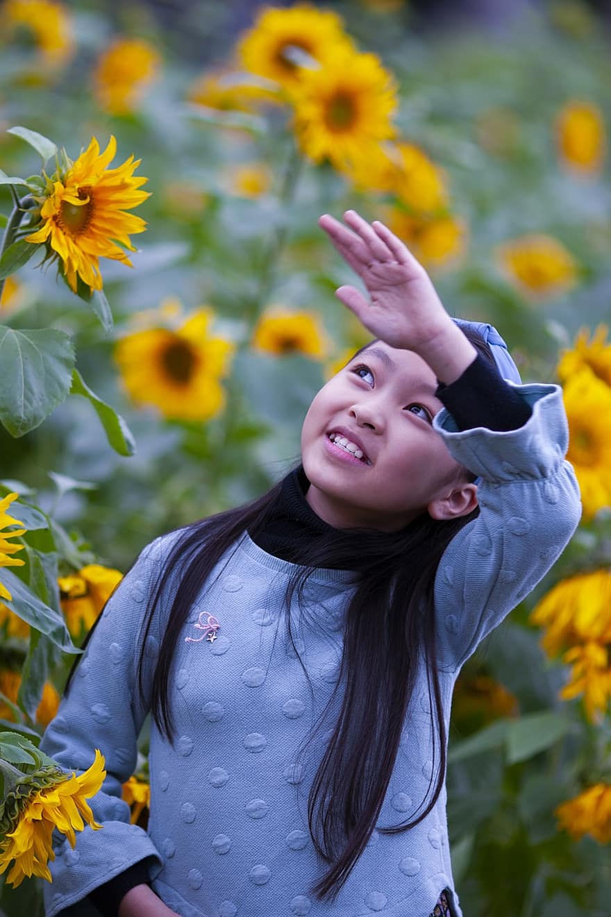 बच्चा, लड़की, सूरजमुखी, फूल, पौधों, मैदान, प्यारा, युवा, बचपन, सड़क पर, संगठन